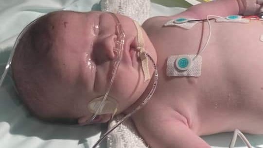 Baby Francesca "Frankie" Rose Rodriguez photo