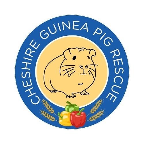 Guinea Pig Recue Fundraiser campaign photo, 7 of 8
