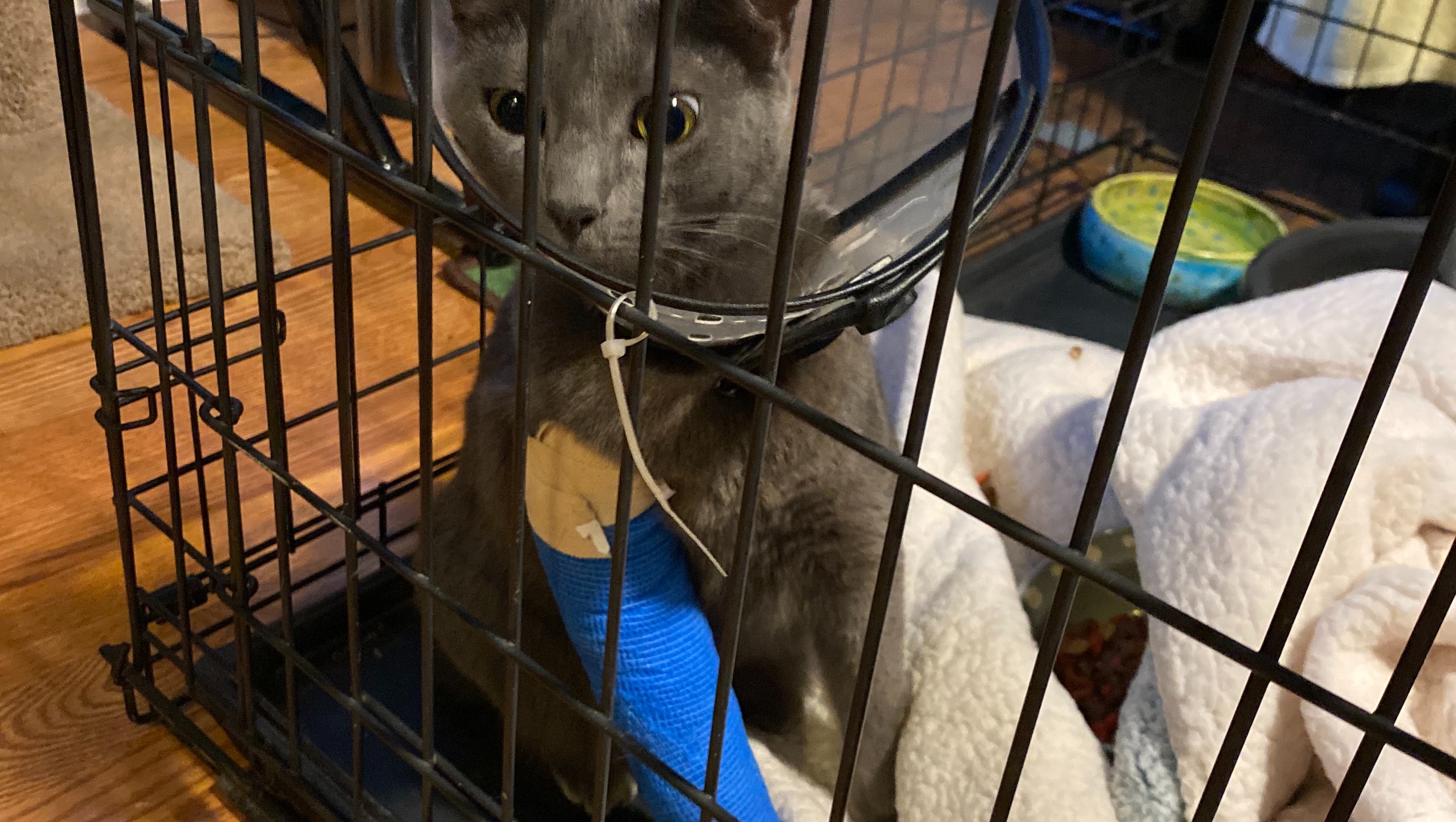 Fundraiser for Angelica Martinez by Victoria Martinez Concha’s broken