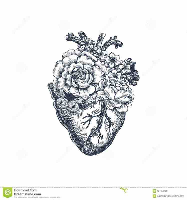 Help For Healing Hearts photo