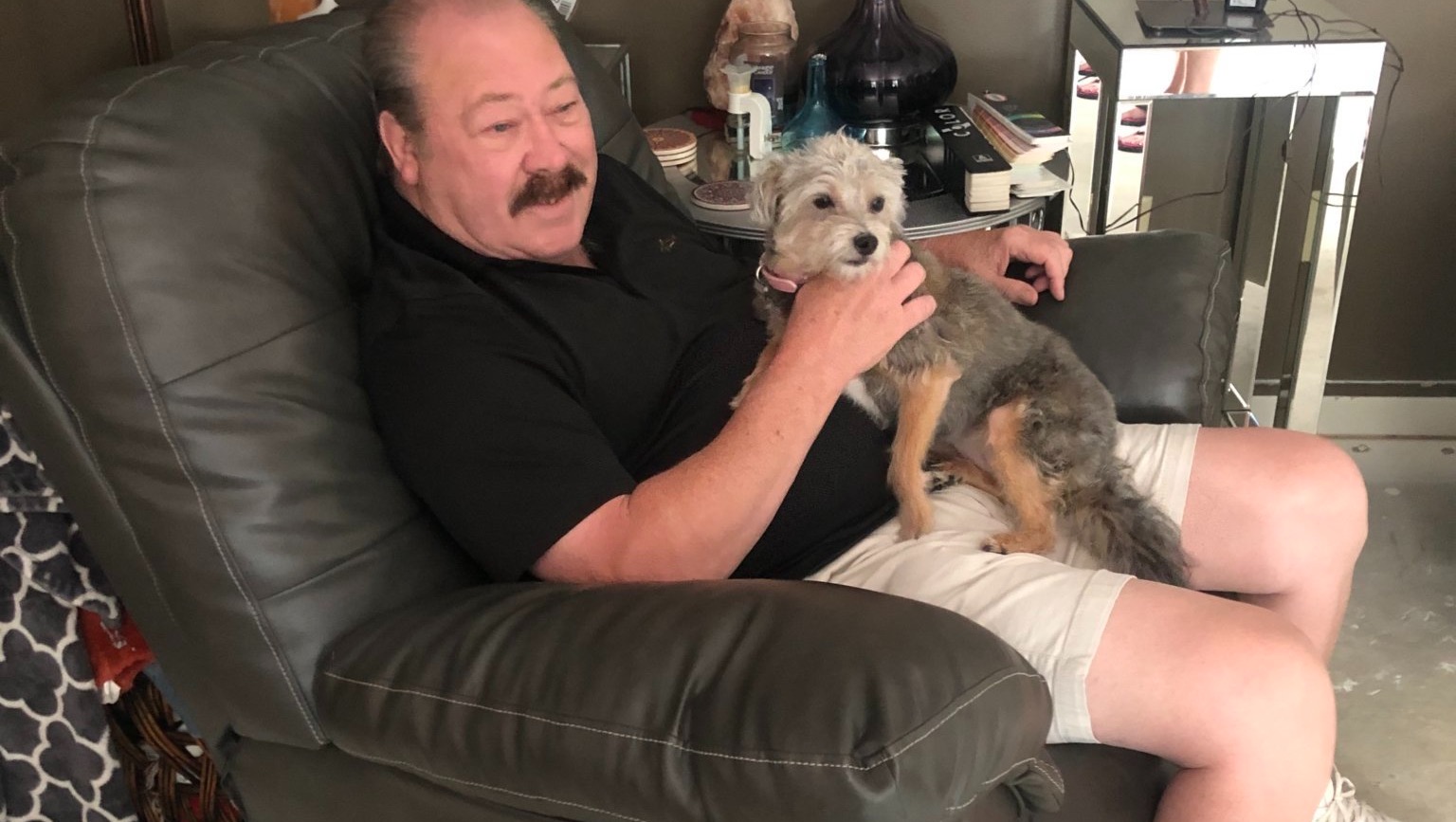 Fundraiser by David Duncan Help with pets medical bills after a hit