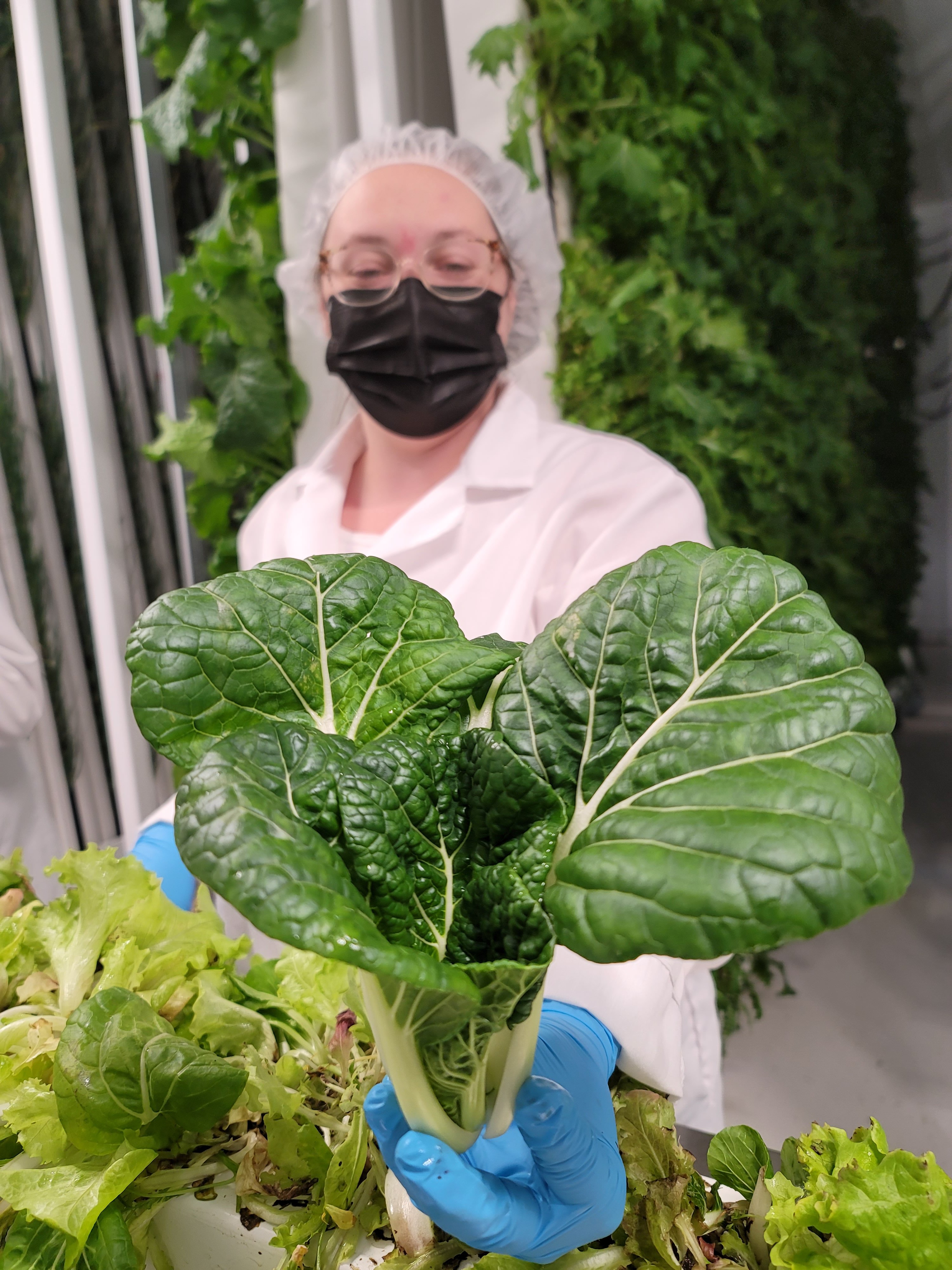 Help AgriTech North Fight a Wrongful Tariff Relief Denial campaign photo, 6 of 8