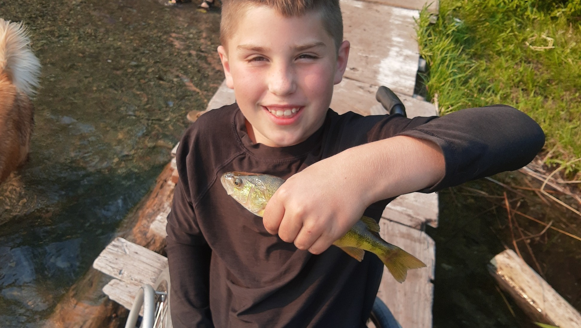 Fundraiser by Rebecca Ralls : Help Liam get his Therapy Bike