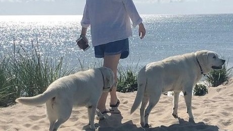 Margaret, the kindest human, needs our help photo