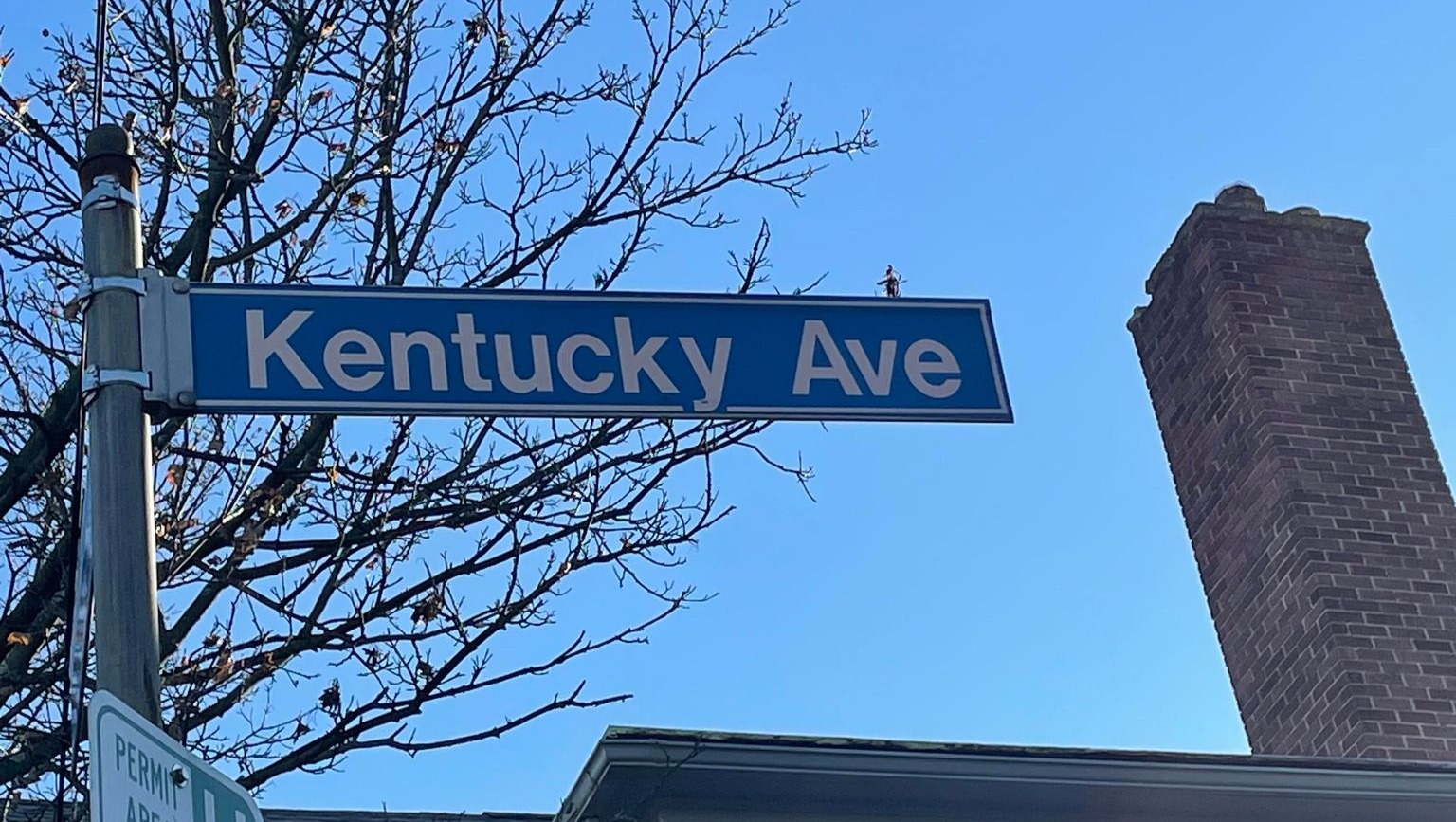 Fundraiser by Eric Hite Kentucky Avenue for Kentucky!