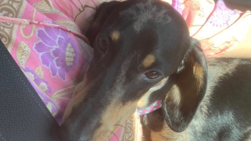 Please help support Winnie photo