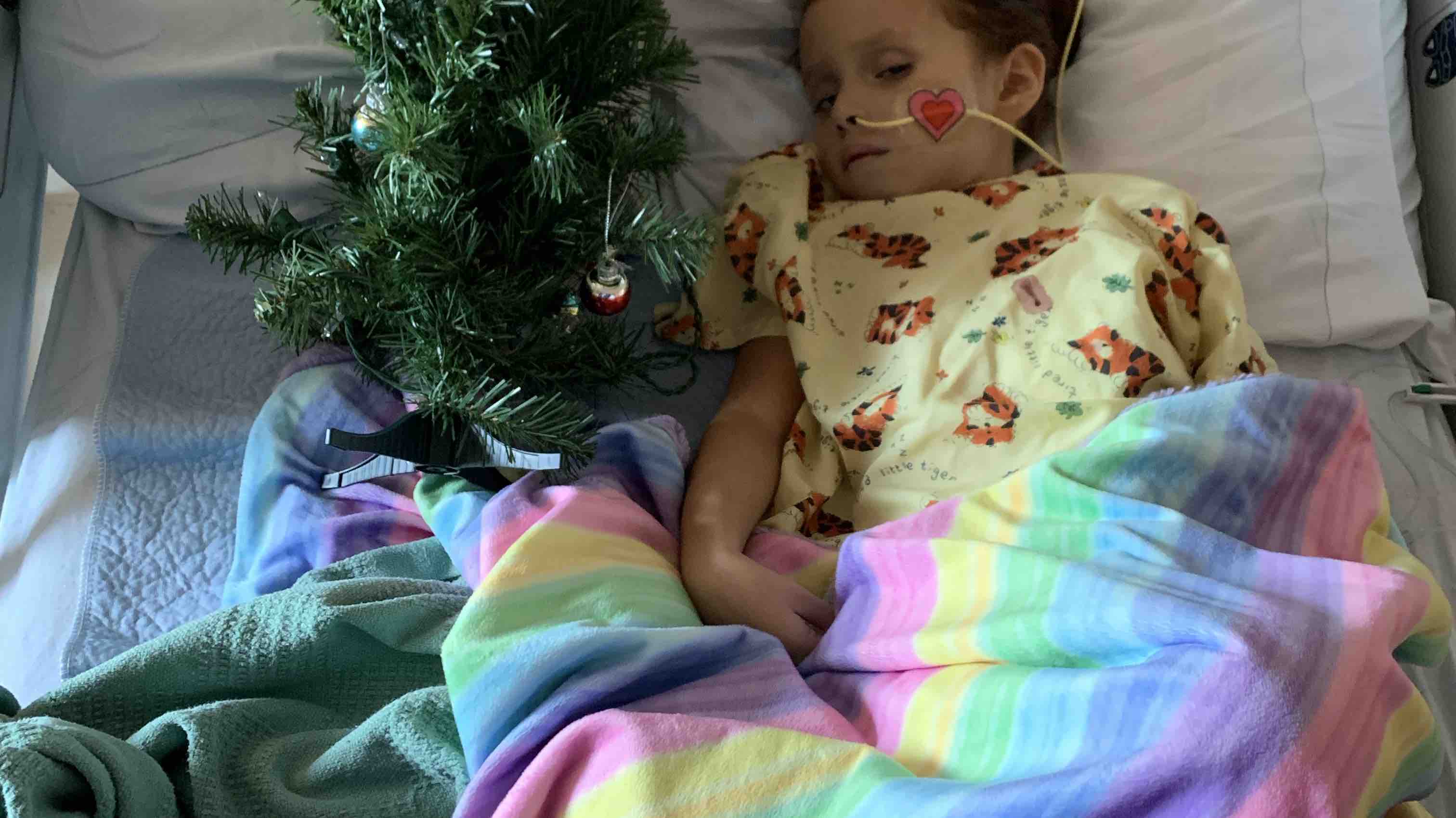 Alexzandras fight photo