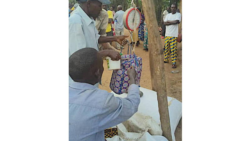 Seedbank Ugandan Refugee Farmers photo