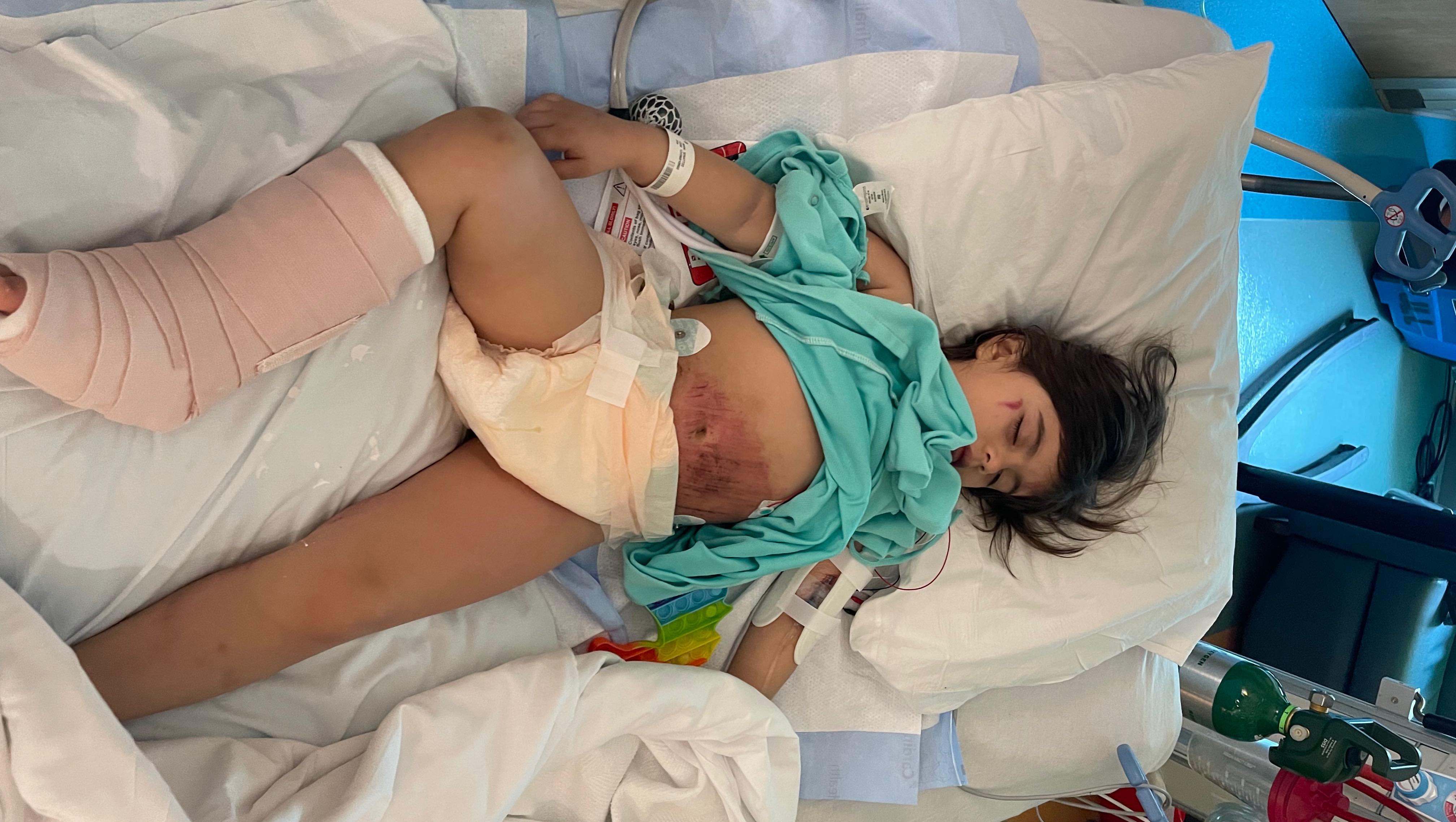 Michelle's Medical & lawyer Expenses photo