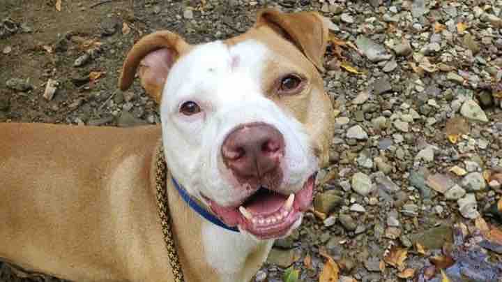 BETTY WHITE CHALLENGE photo