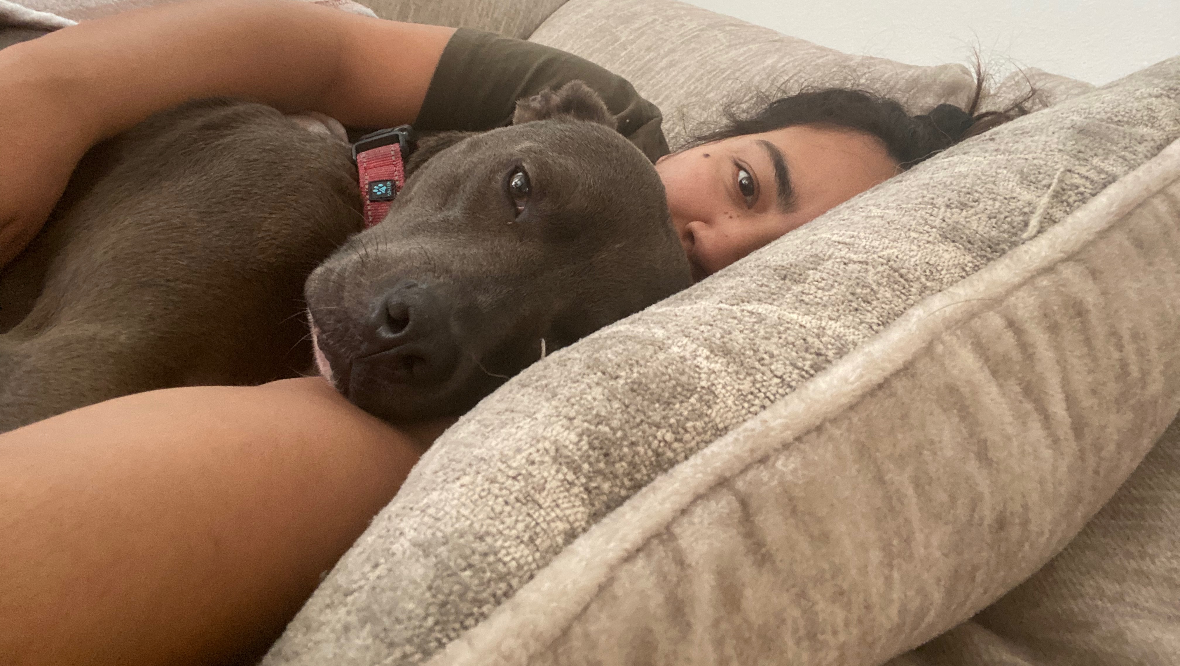Eli’s Emergency Surgery photo