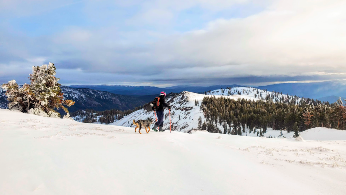 Fundraiser by Elizabeth Cameron Room & Board Tahoe Housing Crisis