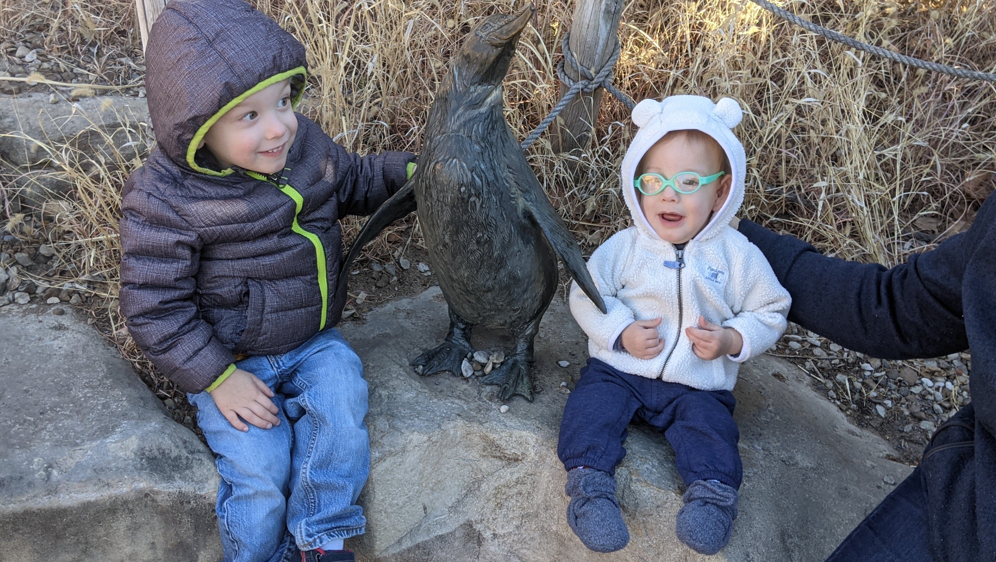 Fundraiser by Jenny Miller : Go Andrew Go!