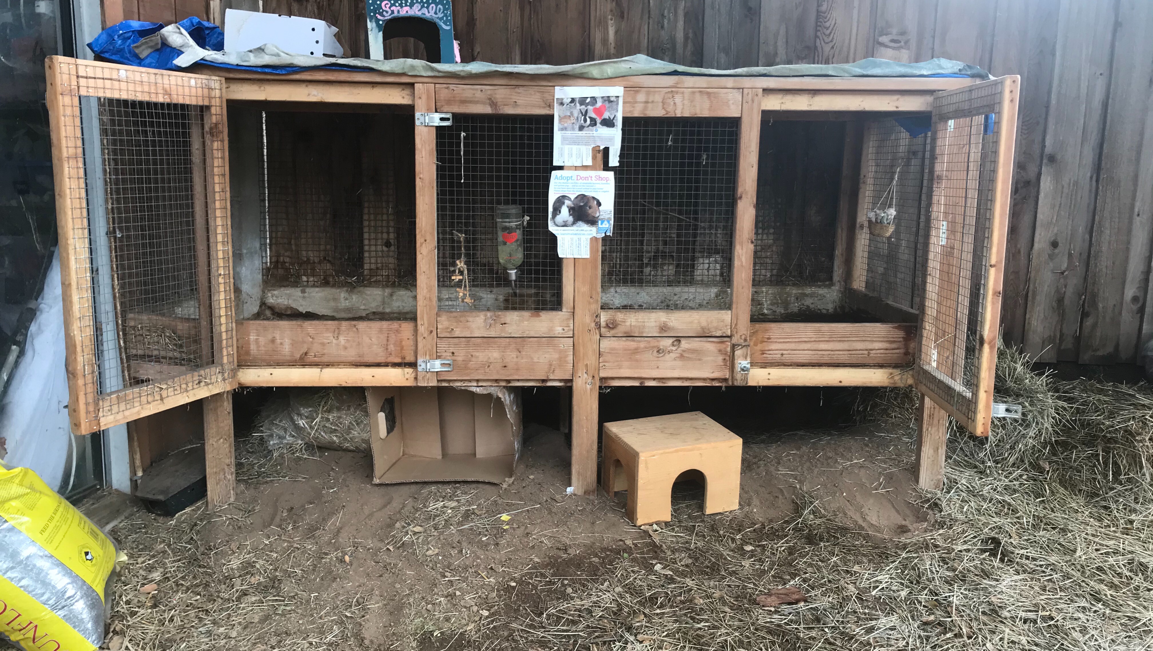 Fundraiser by Katherine Laskey : Preschool Bunnies need space to play!