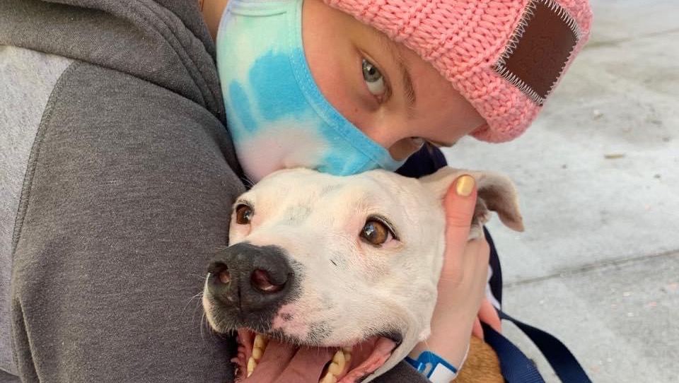 Sophie’s Medical Journey photo