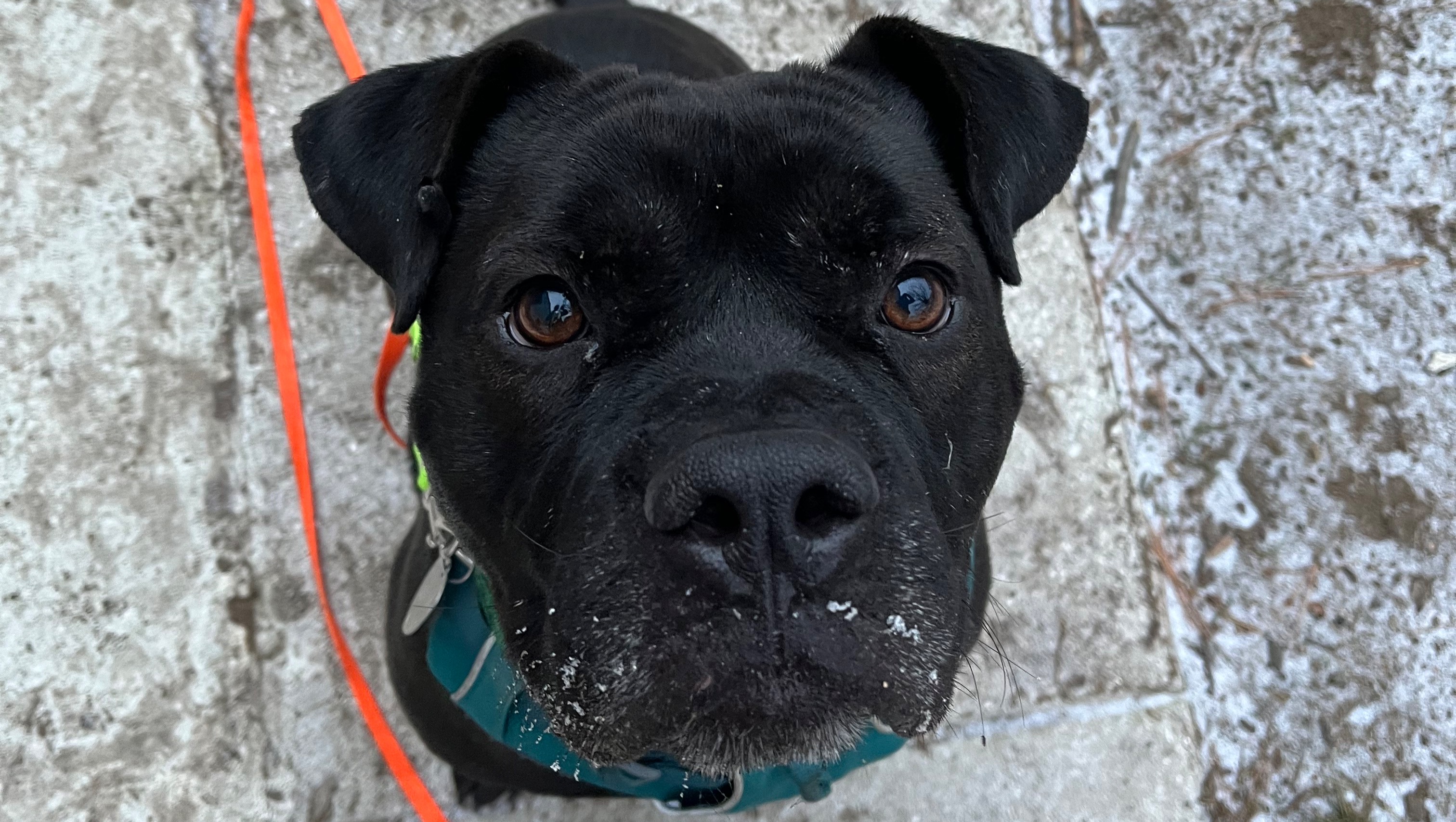 Ben Life Saving Surgery photo