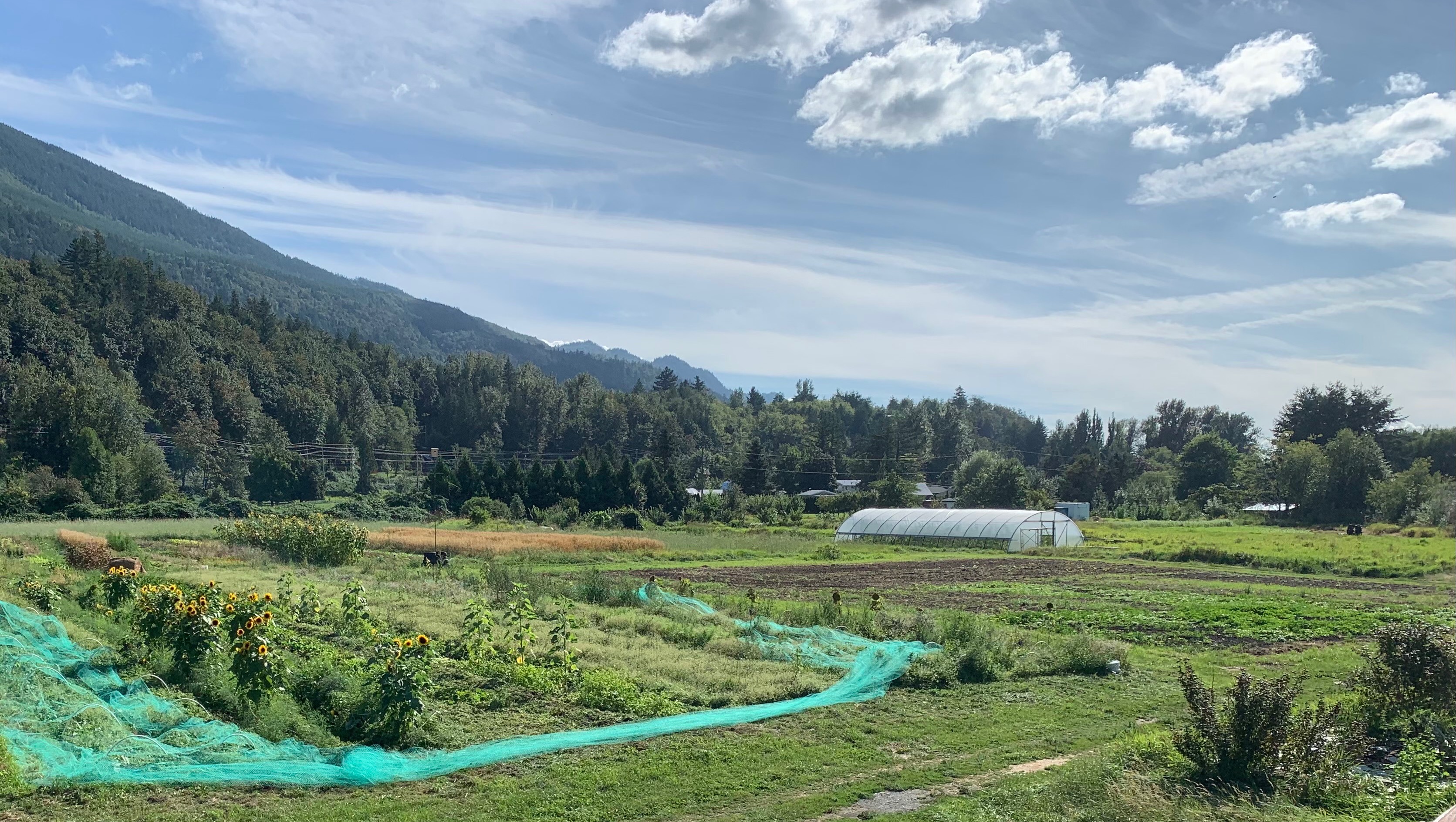 Inzamelingsactie voor David Graham van Jason Fougere Yarrow