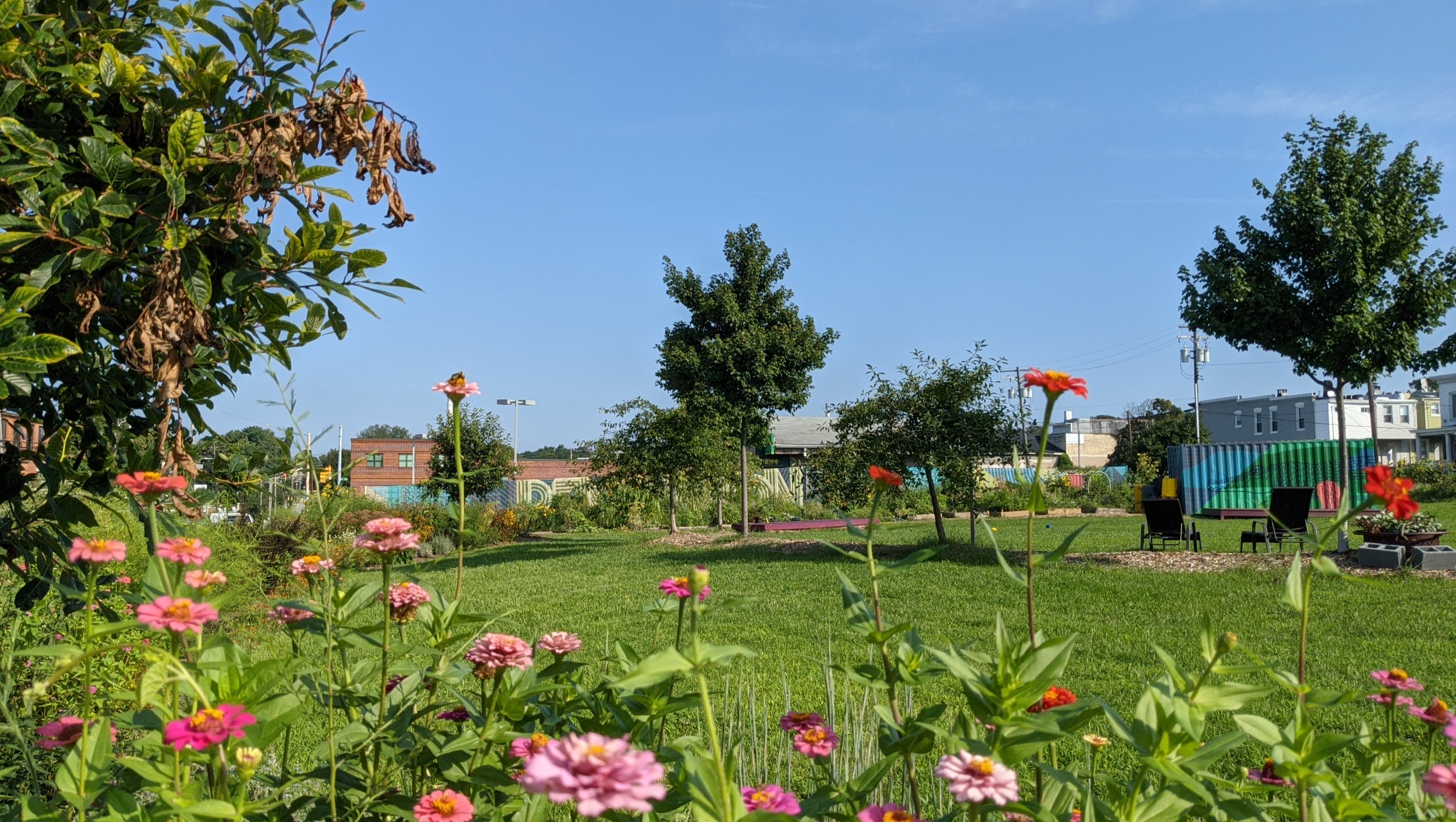 Fundraiser by Molly McCullagh Sisson Street Park Improvement Fund 2022