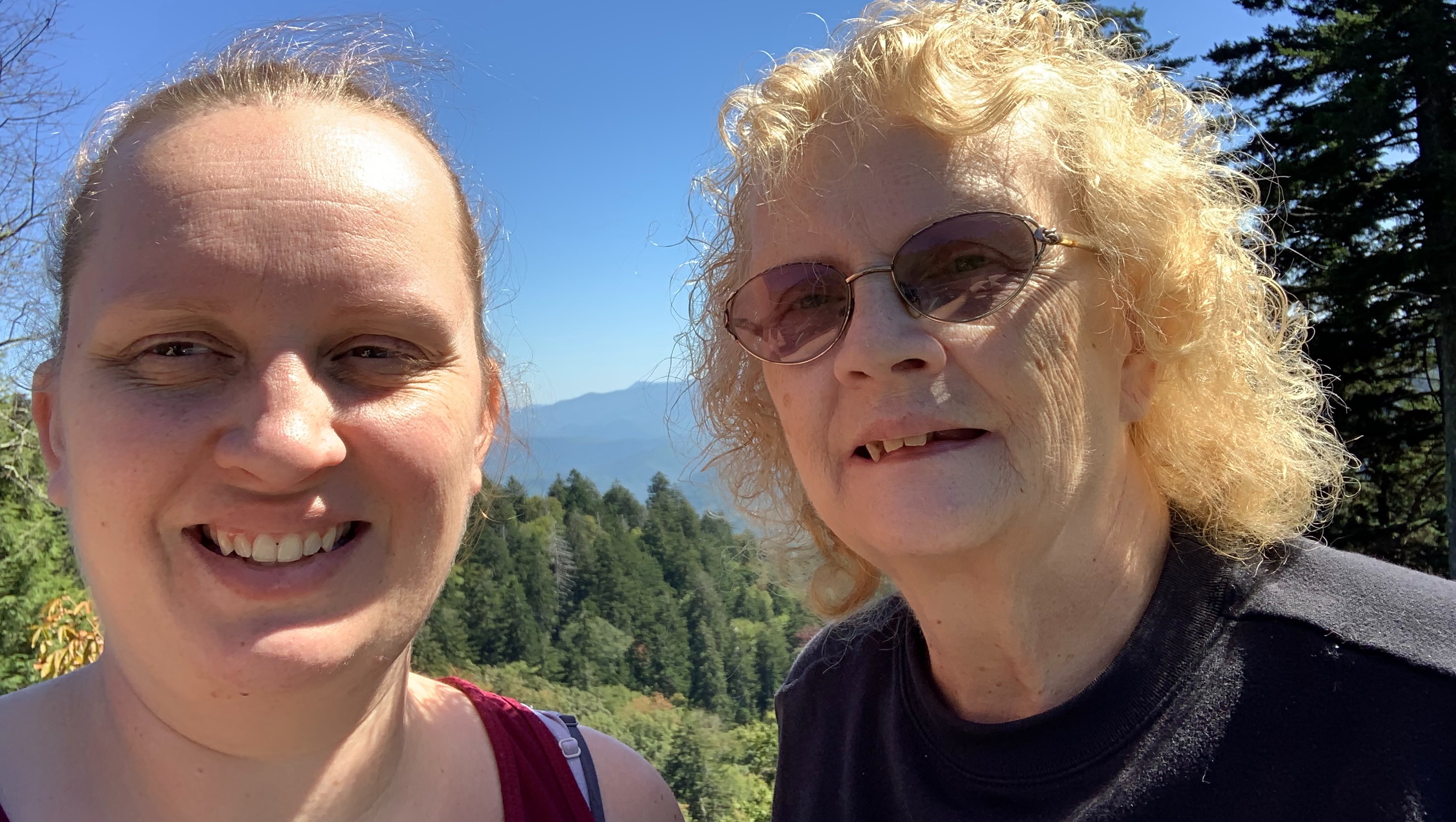 Help Linda Laster Fight Cancer photo
