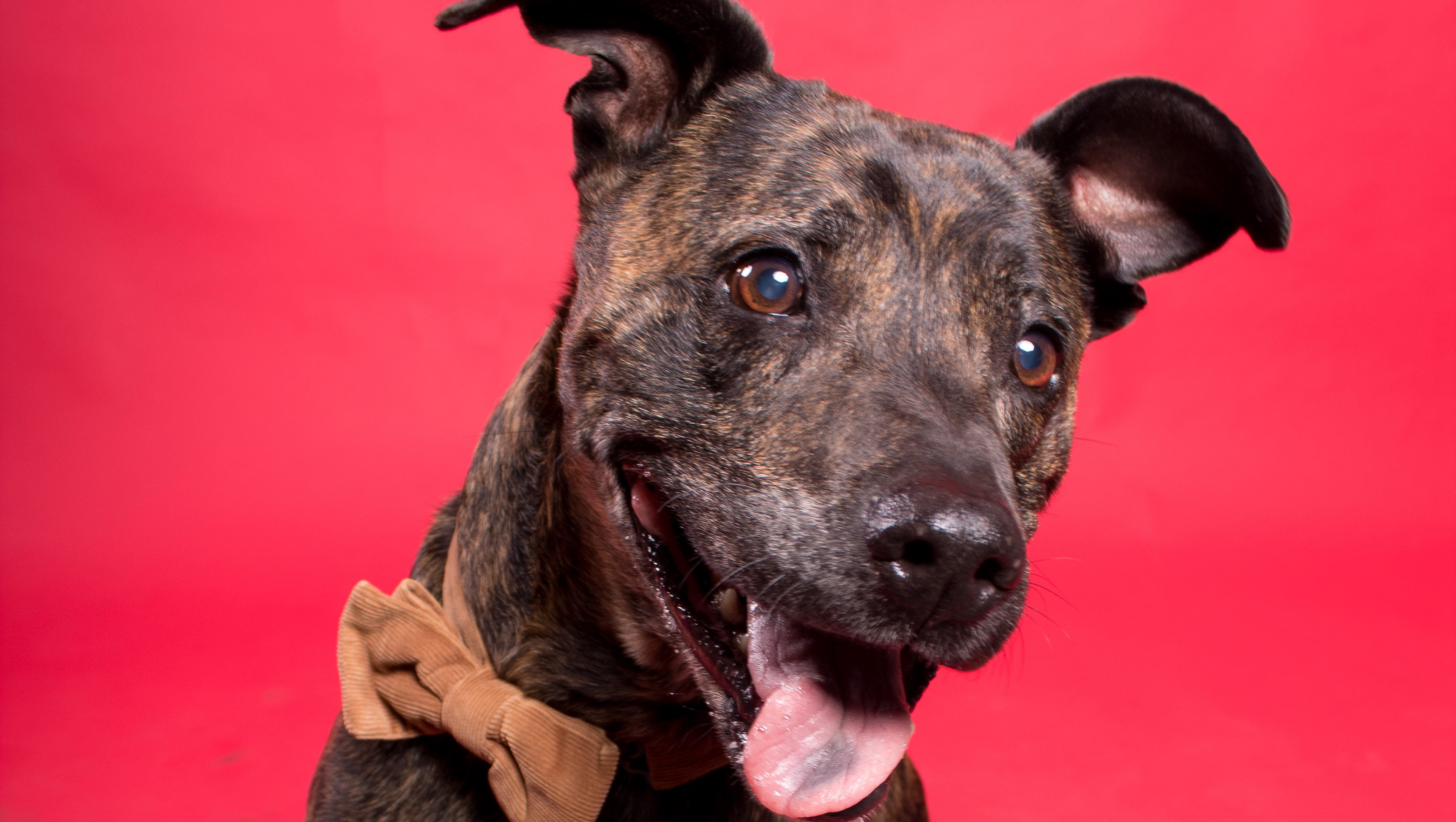 Help with Micah’s Medical Expenses photo