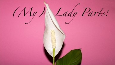 Allie's Medical Transition Fund photo