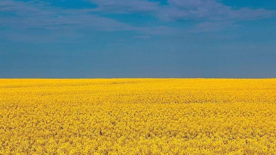 UKRAINIAN FAMILY IN NEED photo