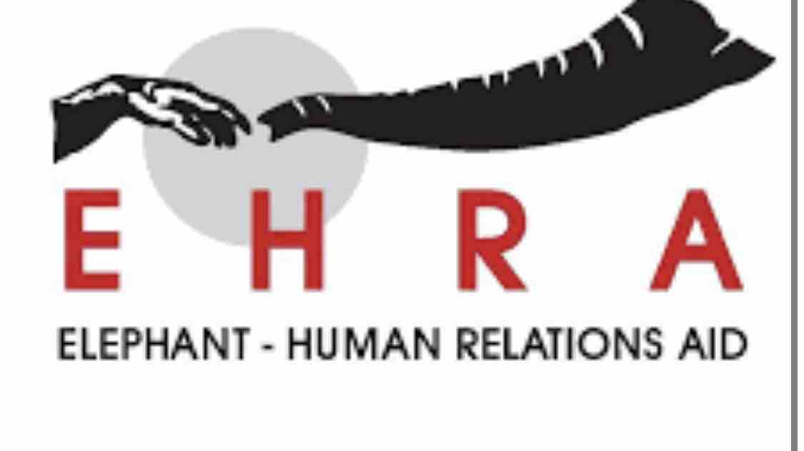 first 100 mile bike ride