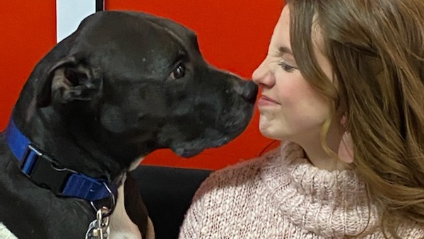 Fundraiser By Kristyn Lane Dallas Needs Surgery