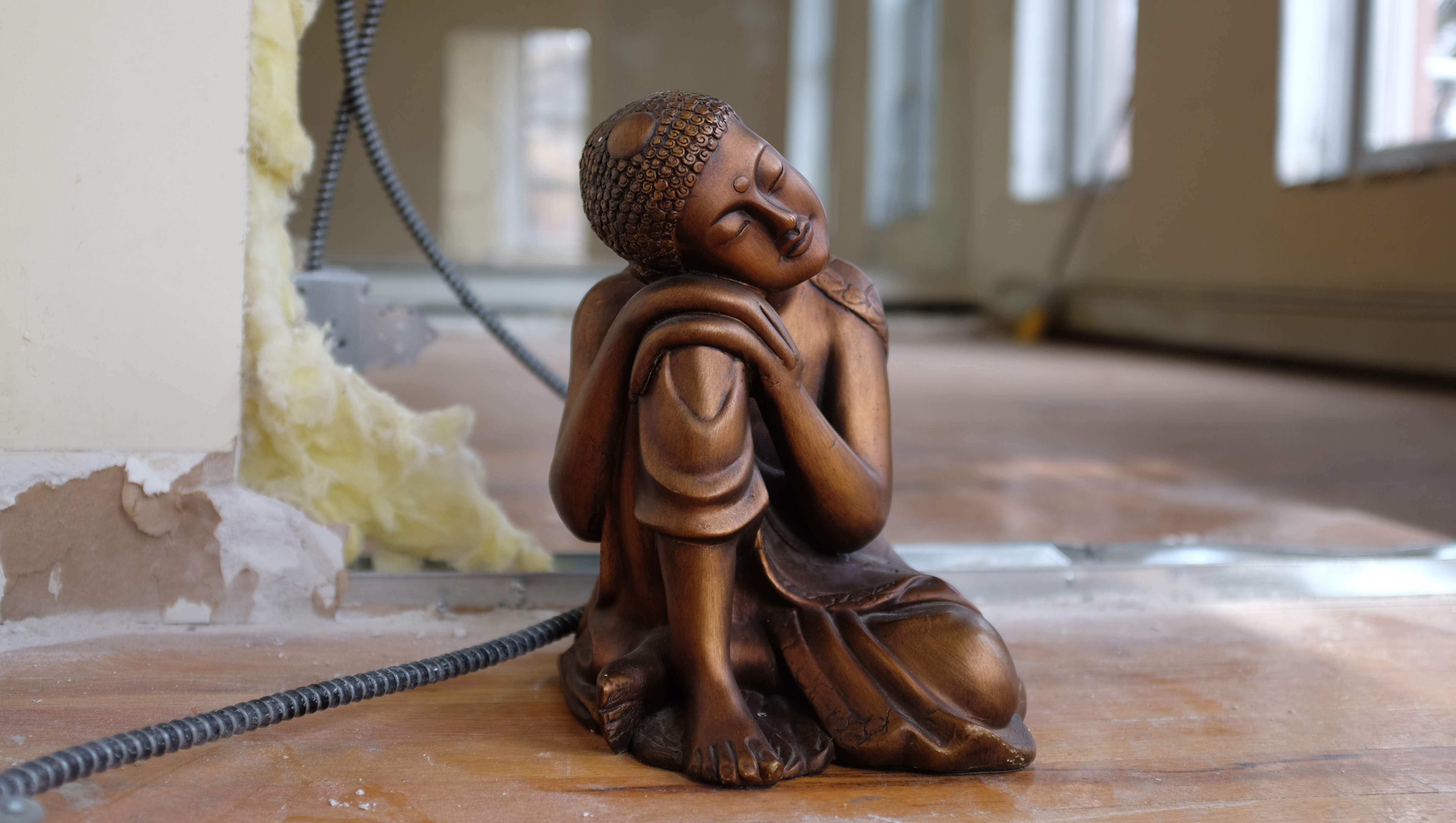 Fundraiser by Sarah Chase Natan Help Brooklyn Acupuncture Project Grow!