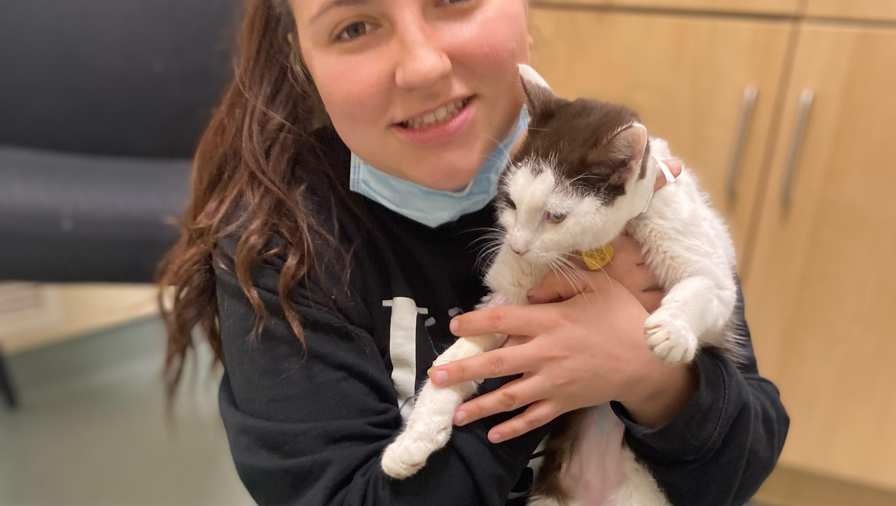 Fundraiser by Handy Lieb Help Flower Kitten in ICU from foreign body!