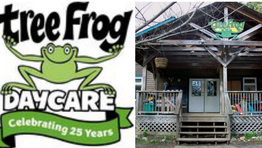 Fundraiser for Lisa Bleskie by Lisa TreeFrog Bleskie Support Tree