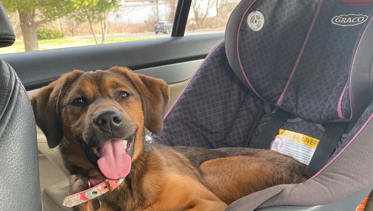 Muna’s Emergency Surgery photo