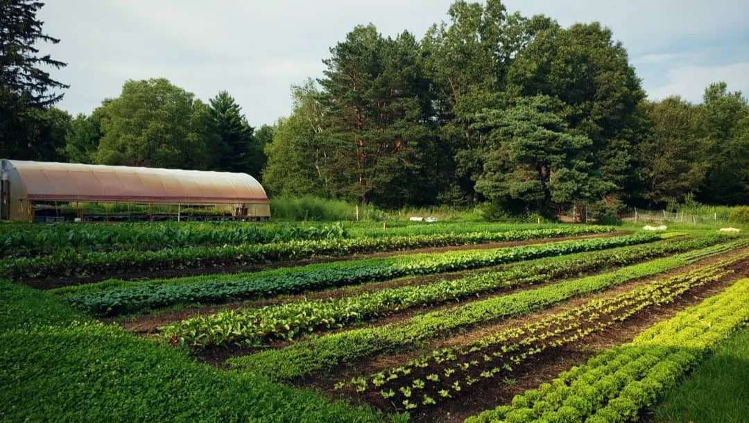 Fundraiser By Krista Kelly Share A Share With Southeast Market