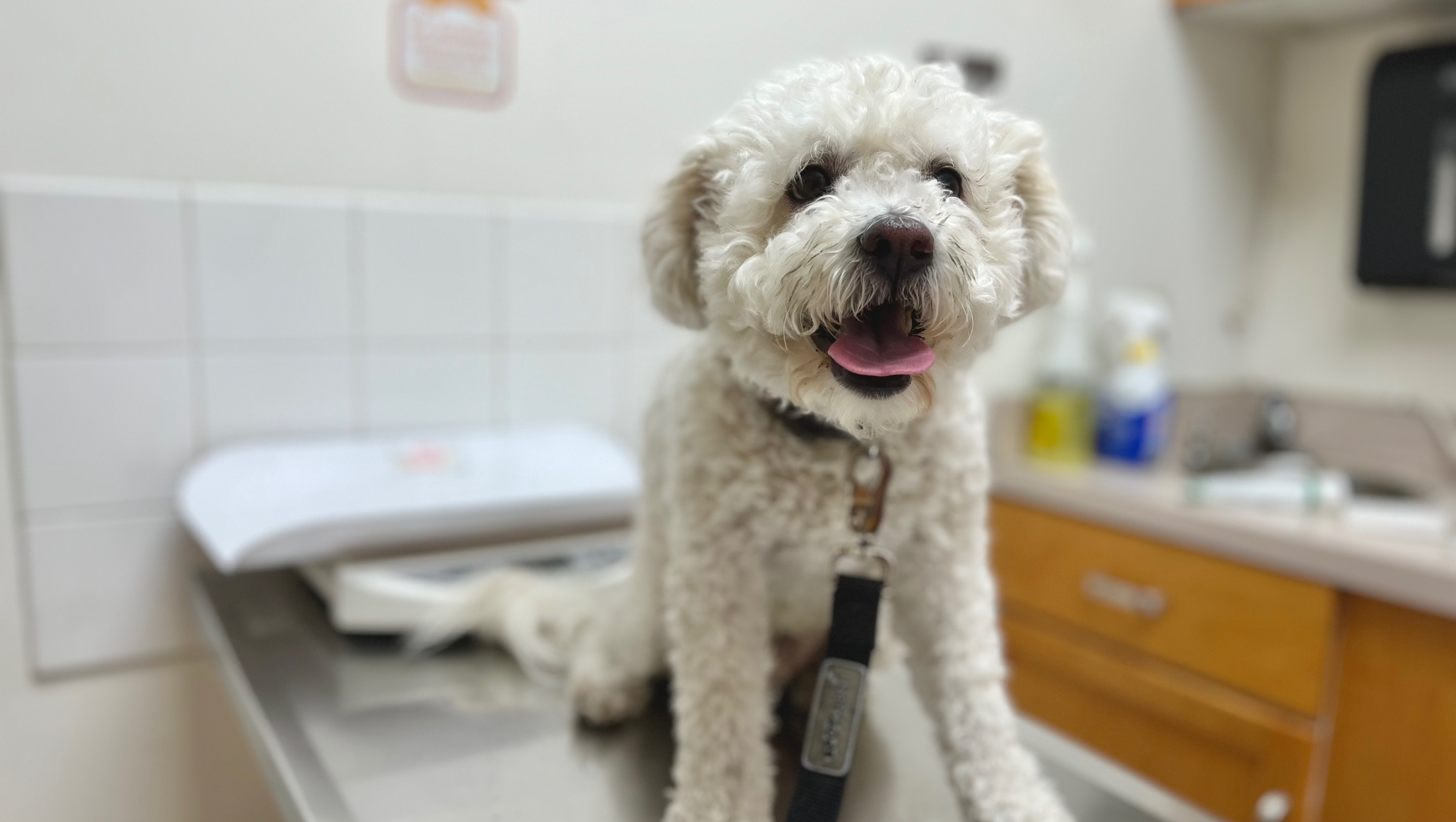 George’s Last Care photo