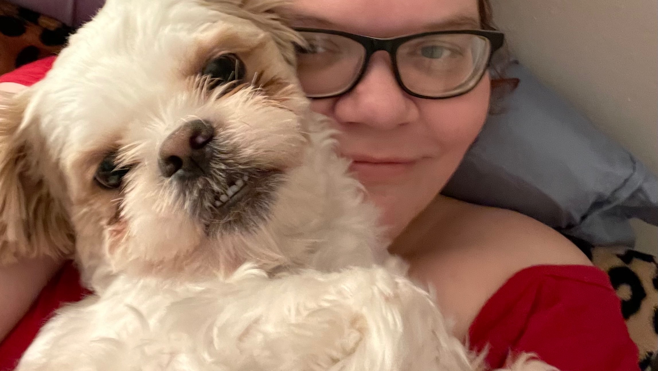 Fundraiser by Sarah Everitt Emergency rent help