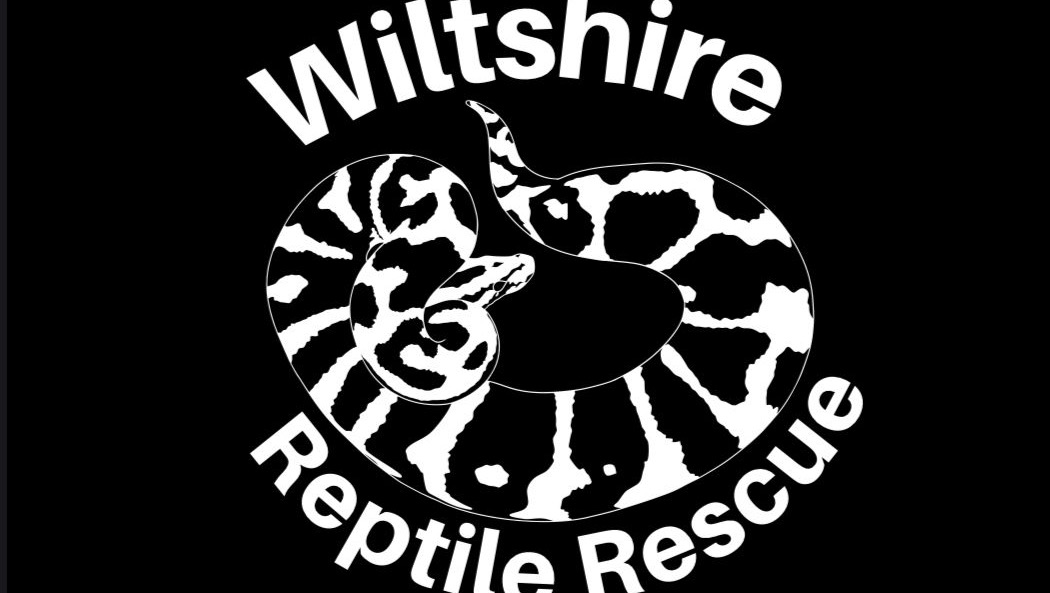 Fundraiser by Stephen Todman Help Wiltshire reptile rescue fund treatment
