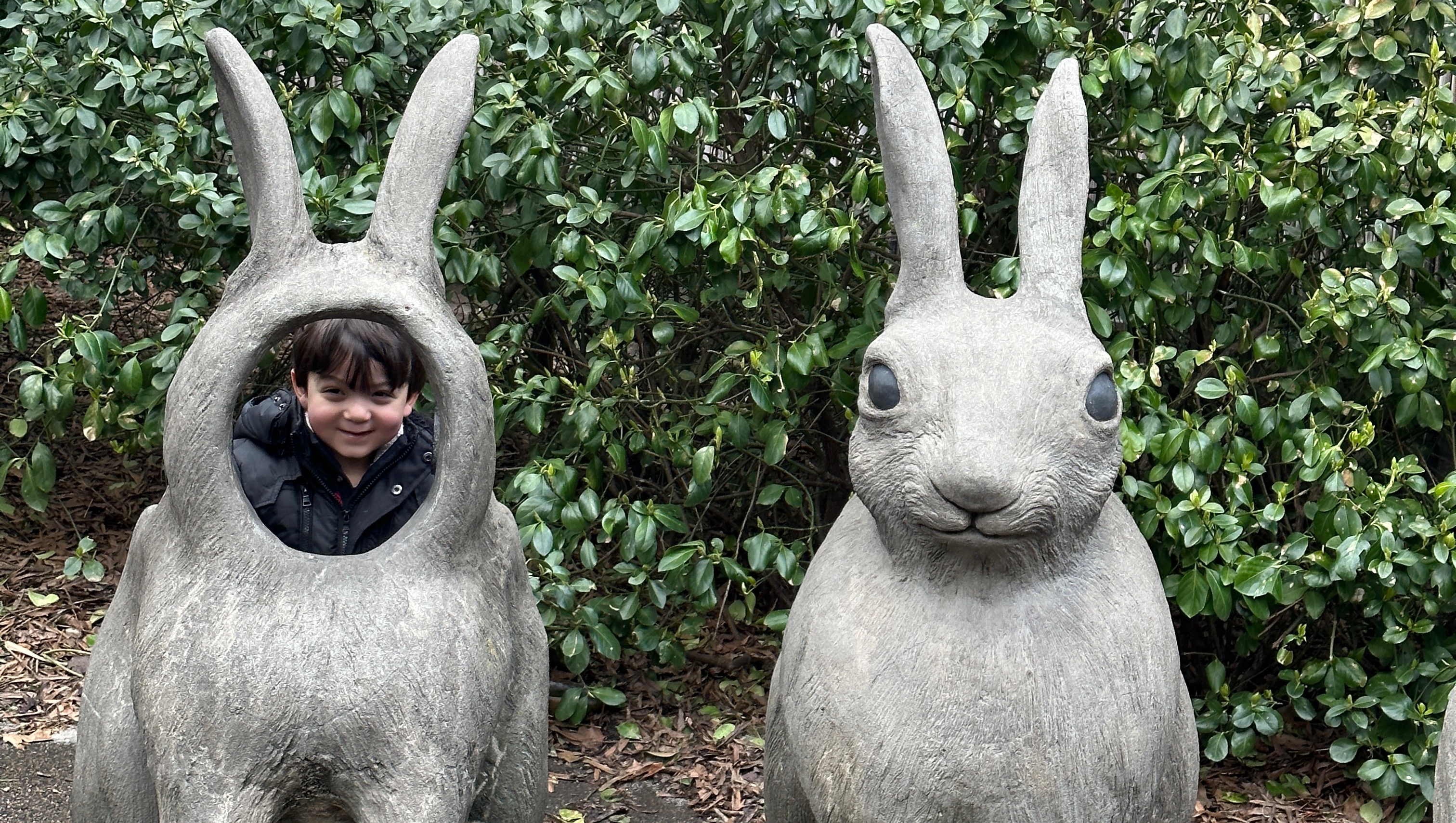 Fundraiser for Christopher Papazoglou by Christina Brisson : Little Yiannis  Needs Your Help