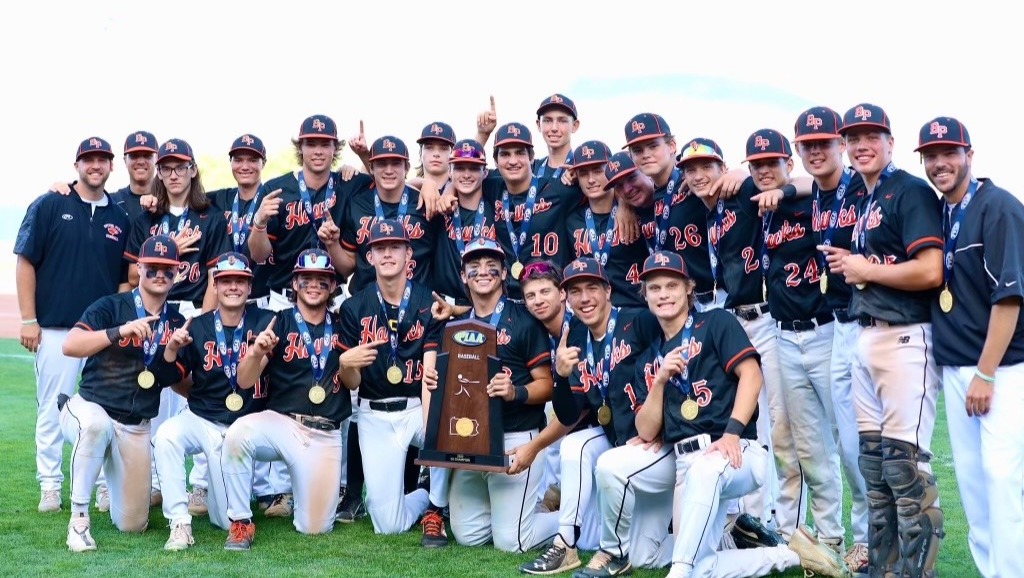 Fundraiser by Sandee White Support our Bethel Park Hawks Baseball Team