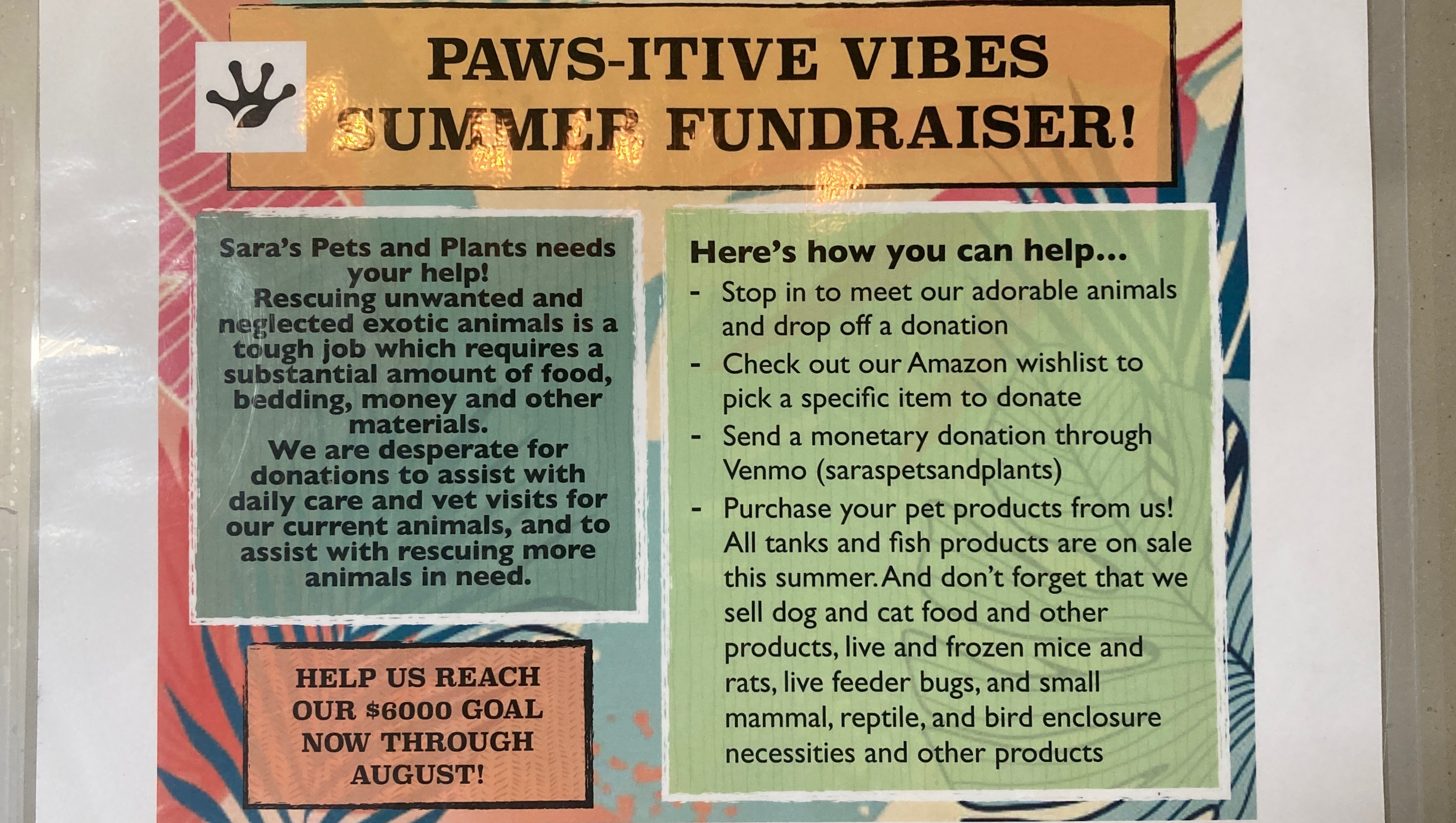PAWS-ITIVE VIBES SUMMER FUNDRAISER photo