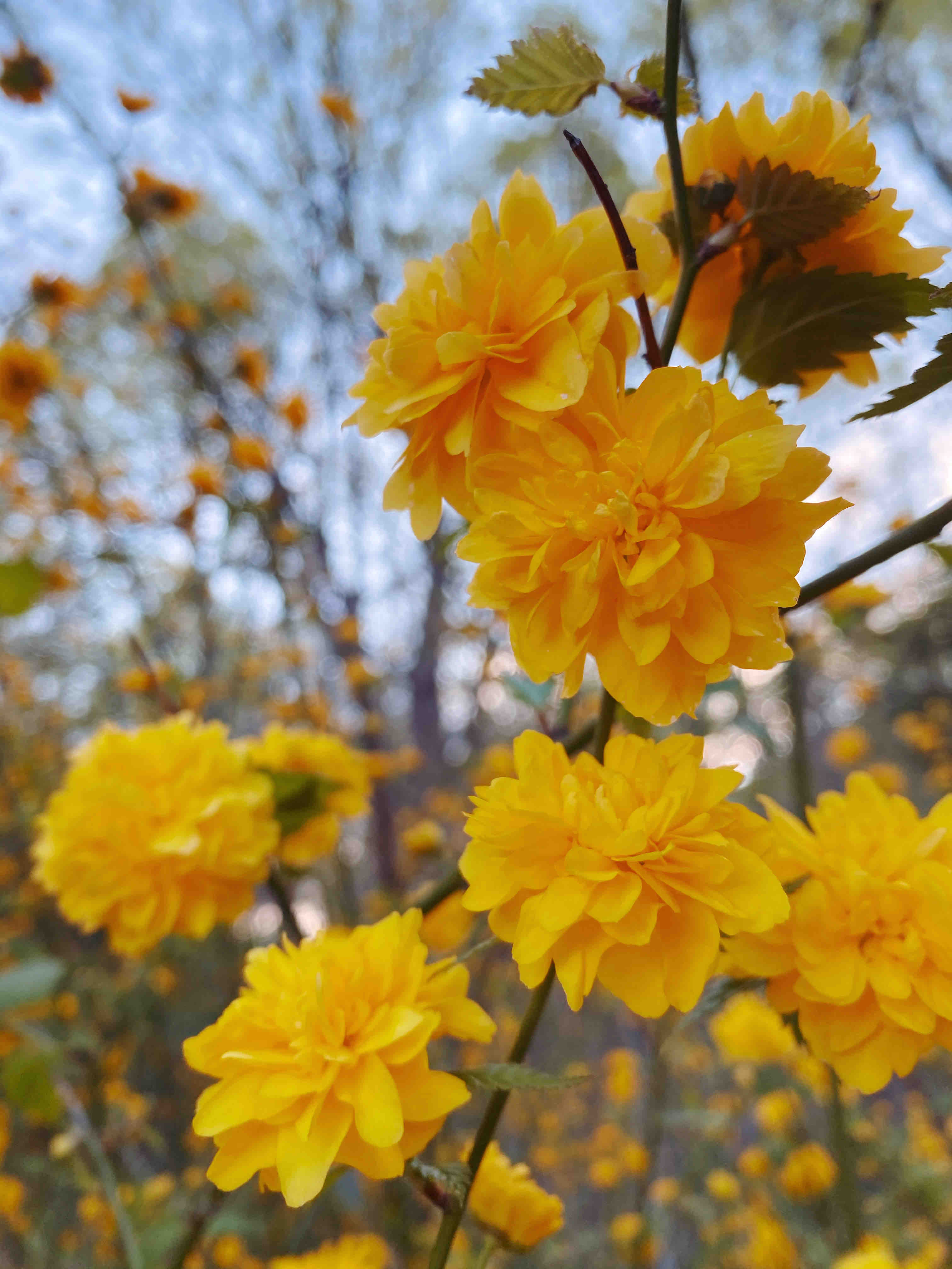 Gabrielle's SOT therapy photo