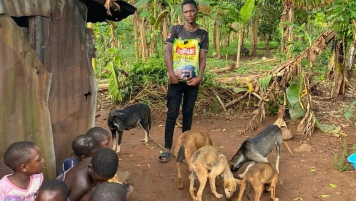 Fundraiser by Chalisa Kumar Dog & Orphanage Rescue Service Uganda