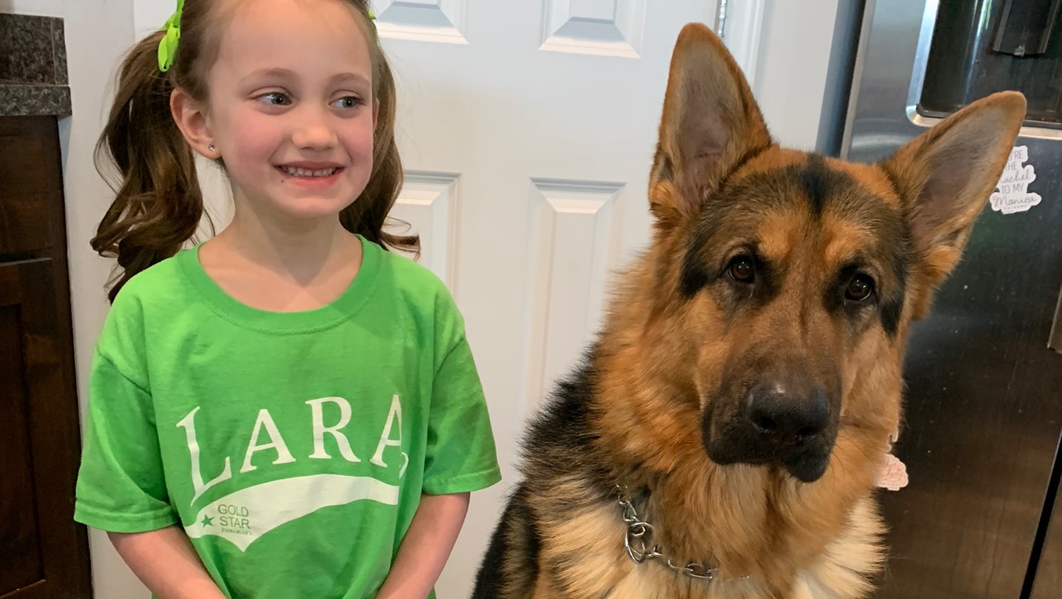 Fundraiser by Ashley Colbeth Hercules’s Vet Bill