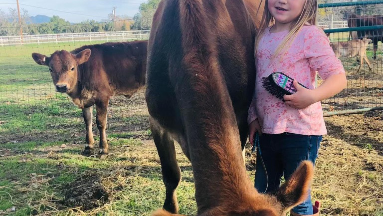 Keep Bindi Farms Going for future generations photo