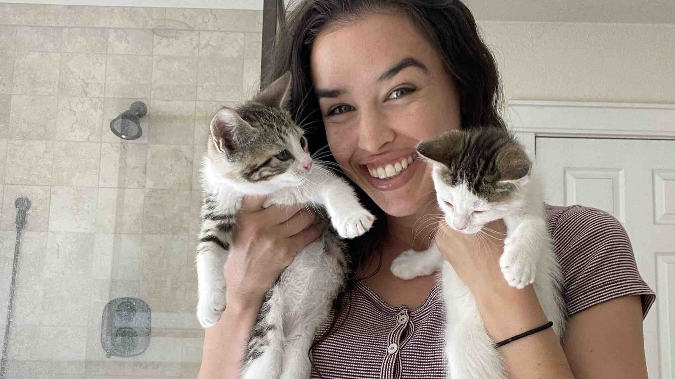 Fundraiser by Jenna Rezzonico Help feed and rescue stray cats and kittens