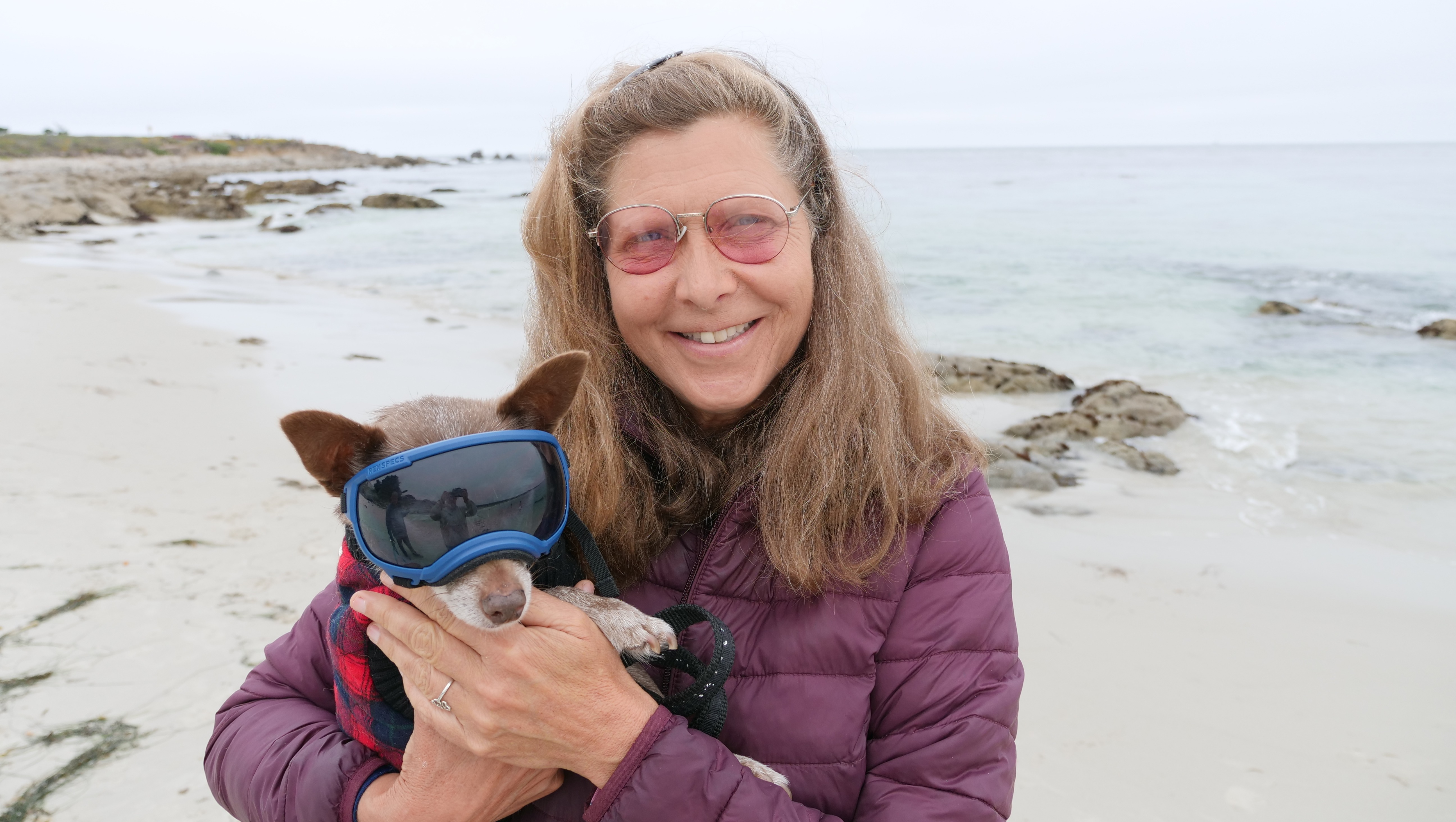 Carie Broecker, Peace of Mind Dog Rescue photo