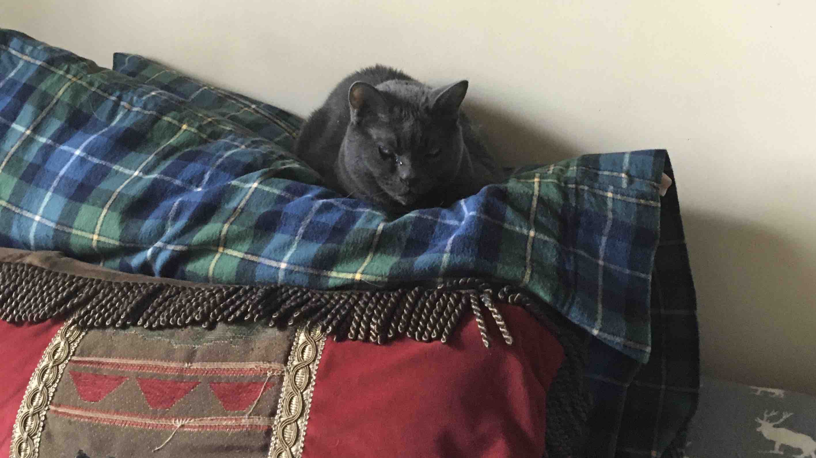 Photo Junior’s End of Life Care fund