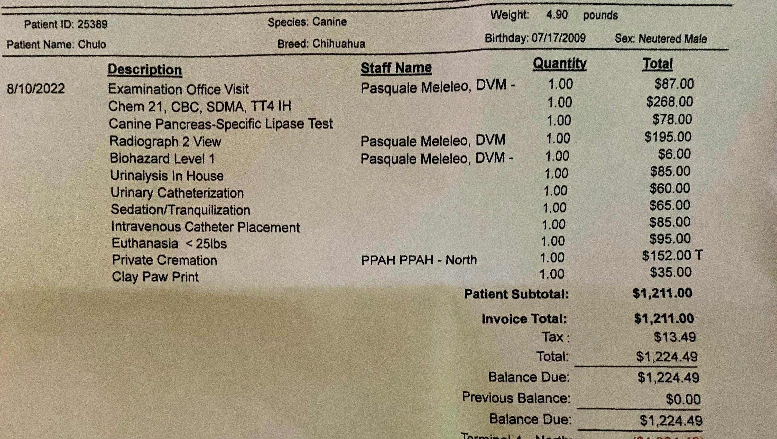 Fundraiser by Jessy Perez Chulo’s Vet Bill