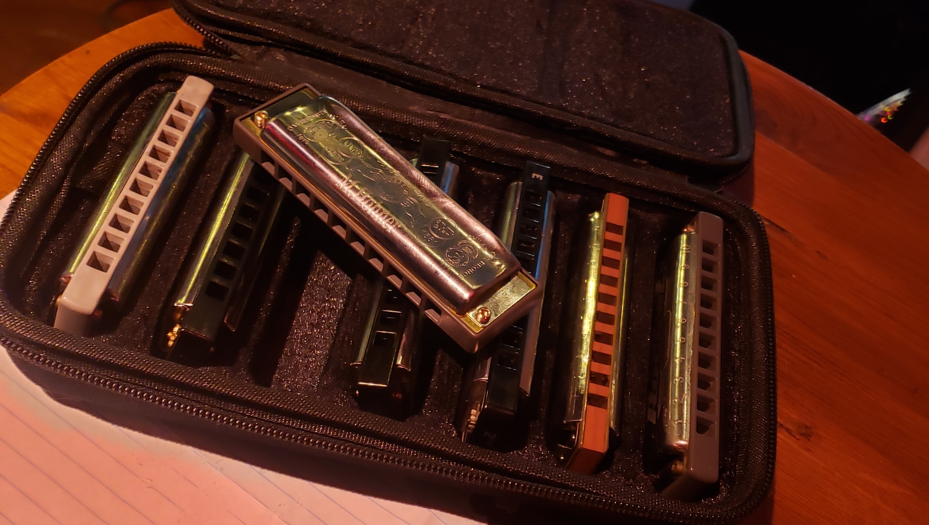 Fundraiser by Mark Wheeler Please help me replace my worn out harmonicas.