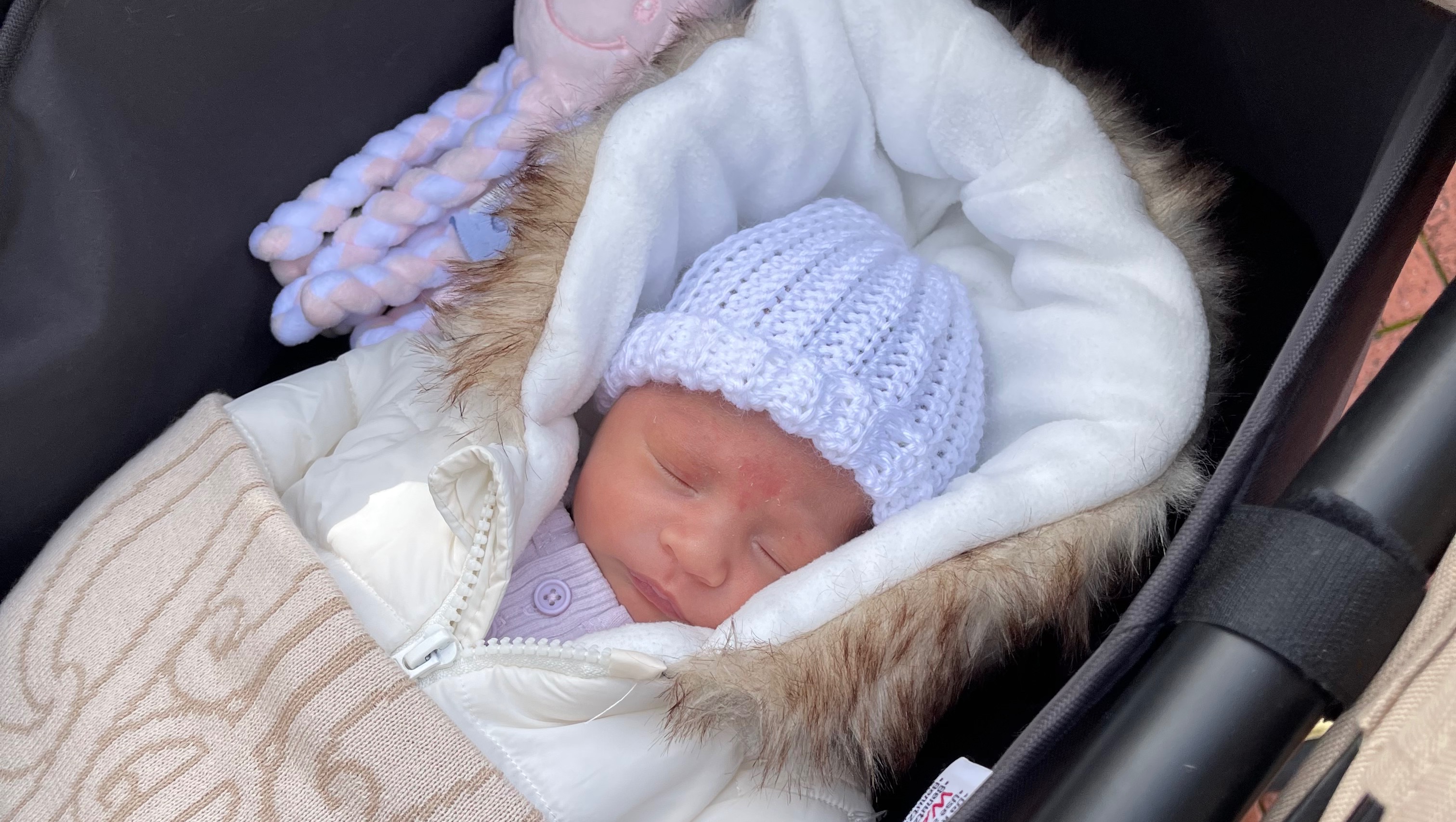 Fundraiser by Renee Ransom : Remembering Baby Royalty