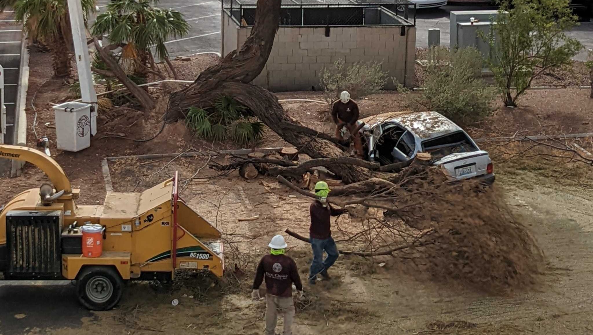 Fundraiser by Tay Williams : Help Gretchen get a new car! 